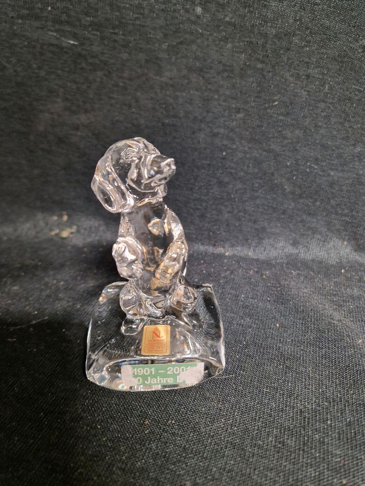 Nachtmann Glas Dackel