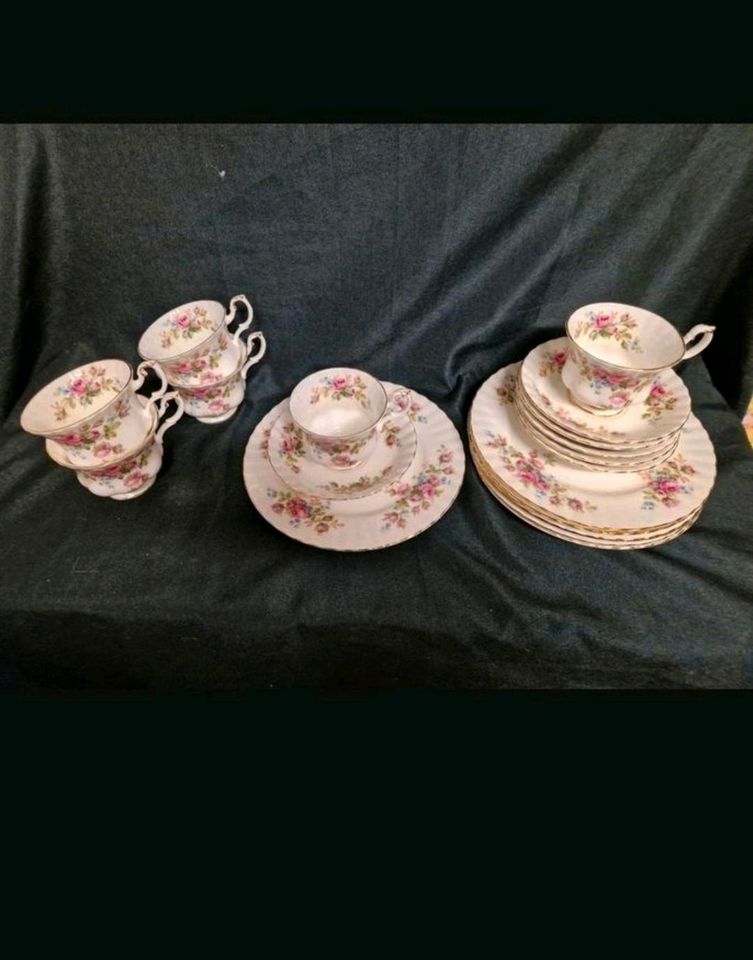 Albert Rose Moss Rose , Kaffeetassen