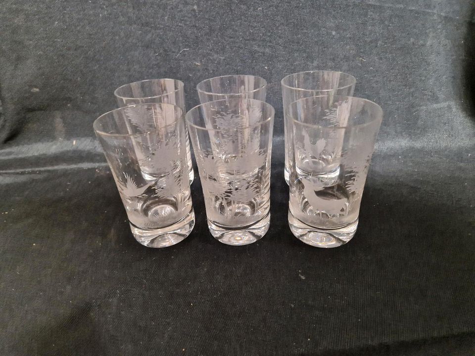 Sprudelgläser Wassergläser, Wald , Jäger
