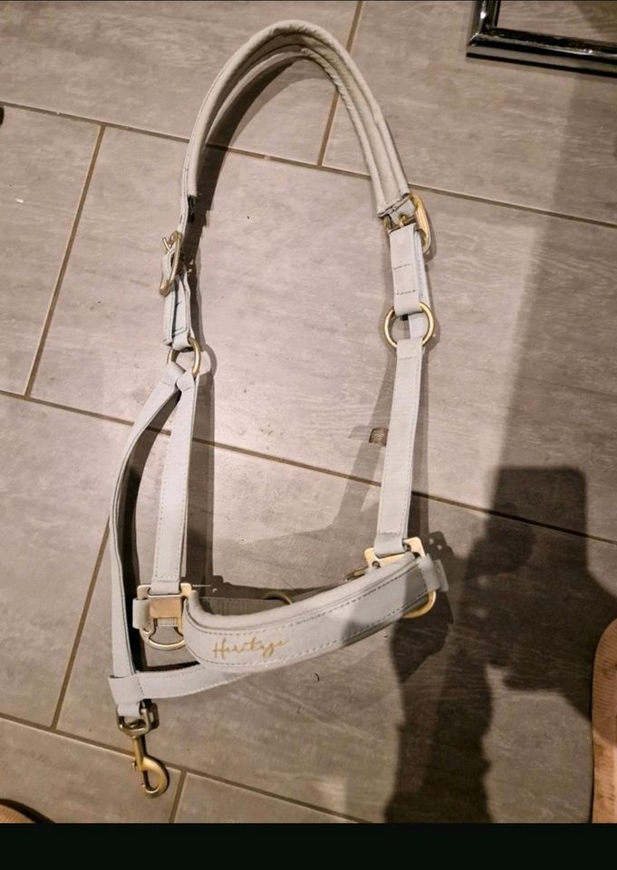 Eskadron Halfter Gr WE mit Gebrauchspuren