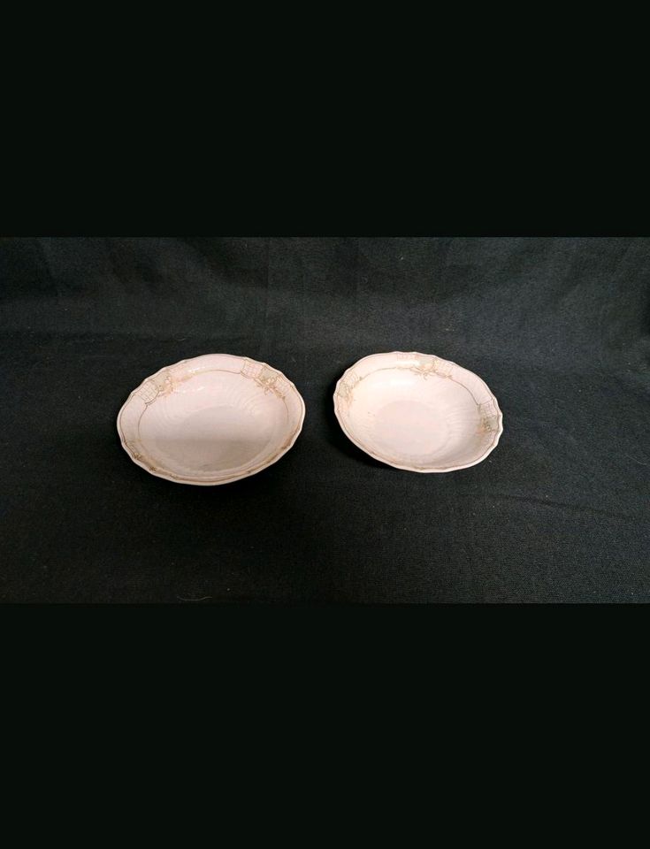 Hutschenreuther Form Dresden 2 Puddingschalen 14,3 cm