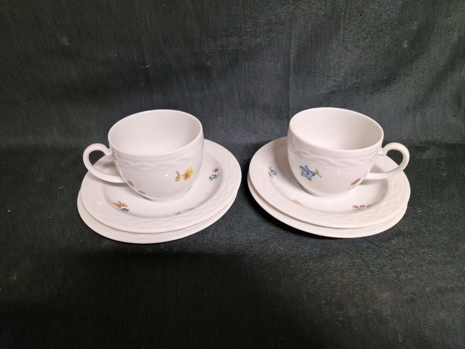 Seltmann Weiden, Ascona , Streublume Kaffeetassen