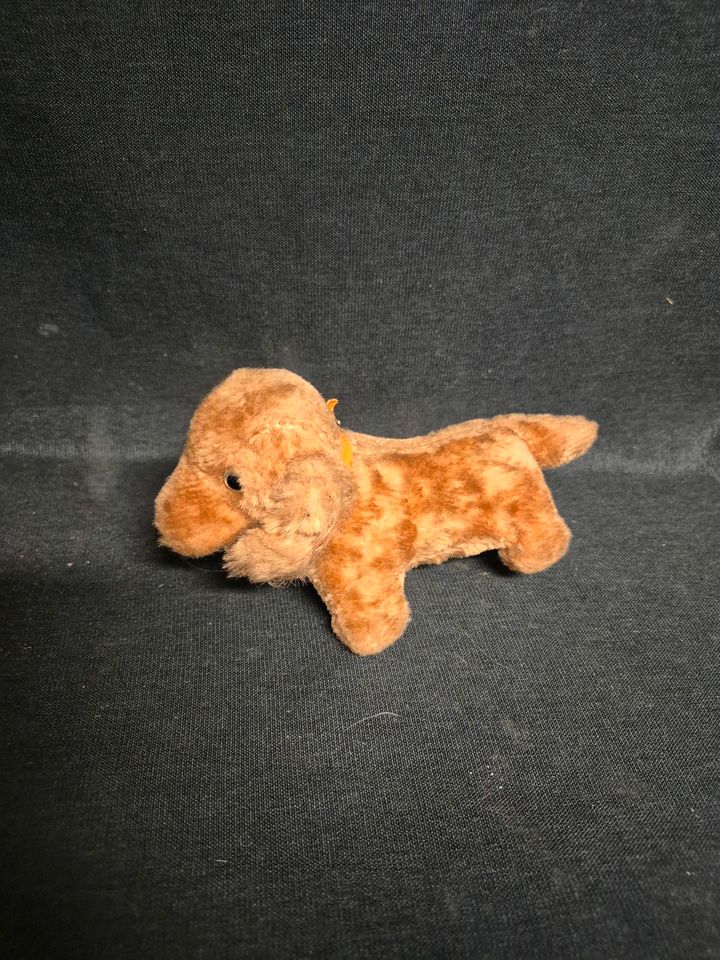 Steiff Dackel, Waldi
