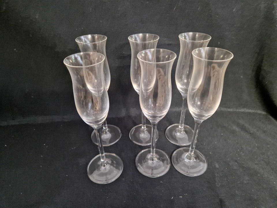Leonardo , Kelche , Aperitif Schnapsgläser